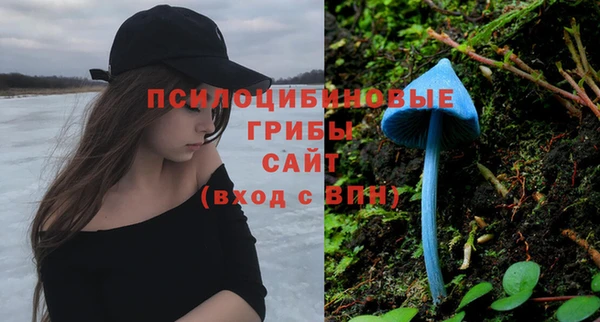 шишки Алзамай