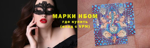 шишки Алзамай