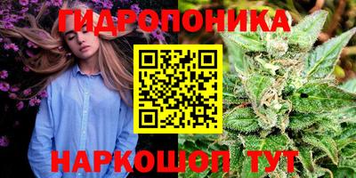 ПСИЛОЦИБИНОВЫЕ ГРИБЫ Гусь-Хрустальный