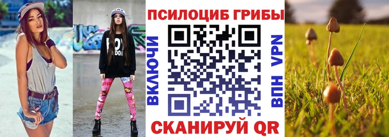 даркнет сайт  Кольчугино  Псилоцибиновые грибы MAGIC MUSHROOMS 